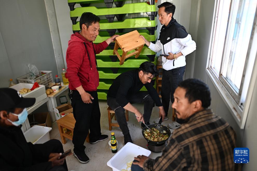 棋牌软件园